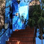 Photo taken by Denise L