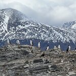 Photo taken by Andrei V