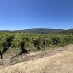 Photo taken by Rocky L