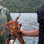 Photo taken by Dan U