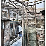 Photo taken by Fiona C