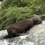 Photo taken by susan s