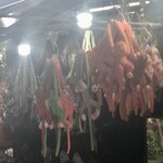 Photo taken by Shaula L