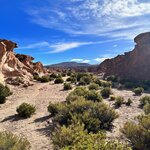 Photo taken by Collins M