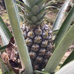 Photo taken by Jacqueline R