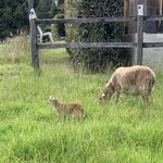 Photo taken by Nicole G