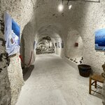 Photo taken by Anita N