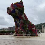 Photo taken by Liz S