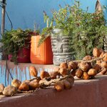 Photo taken by Maryann S