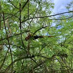 Photo taken by Erin K