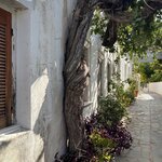 Photo taken by Paige M