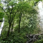 Photo taken by Brett F