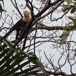 Photo taken by Chris H