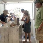 Photo taken by Diana N