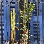 Photo taken by Shawn G