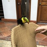 Photo taken by Juliette S