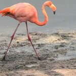 Photo taken by Thomas L