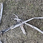 Photo taken by Brenna M