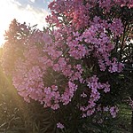 Photo taken by Jacci Z