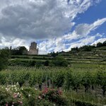 Photo taken by Jodi P