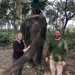 Elephant Info Tour | Photo taken by matthew h