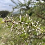 Photo taken by Michael L