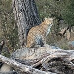 Photo taken by Tom B