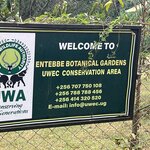 Photo taken by Michael L