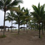 View of our beach | Photo taken by Sheila R
