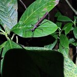 Photo taken by Bryan D