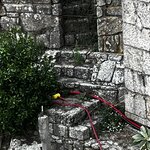 Photo taken by Dee C