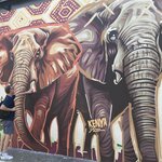 Photo taken by Kristy M