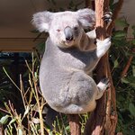 Photo taken by Maggie W