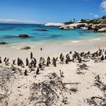 Photo taken by Yin Ling K