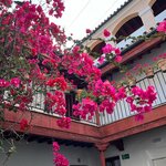 Photo taken by Joey R