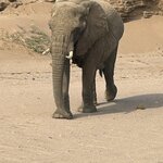 Photo taken by Nigel R