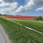 Photo taken by Jennifer D