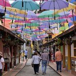 Photo taken by Beatriz V