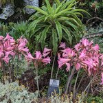 Photo taken by Daniel S