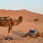 Photo taken by Don G