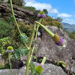 Photo taken by Matt W