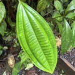 Photo taken by Carrie N