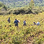 Photo taken by Sam Austin W