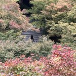 Photo taken by Adrian D