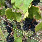 Photo taken by Michele B