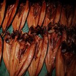 Photo taken by Caroline K