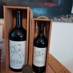 Photo taken by Judith F