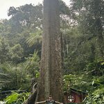 Photo taken by Rob C