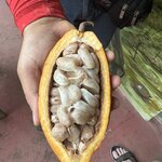 Photo taken by Dana F