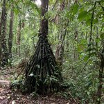 Photo taken by William B